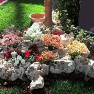 Anteprima Rocce da Giardino Anticate della Murgia 1