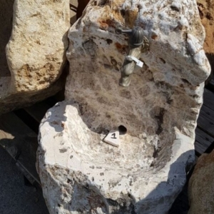 Anteprima Fontane ed Arredo Giardino in Pietra 2