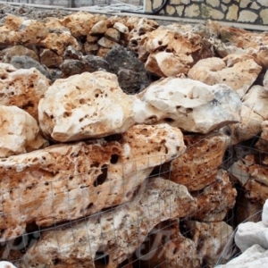 Anteprima Rocce da Giardino della Murgia 2