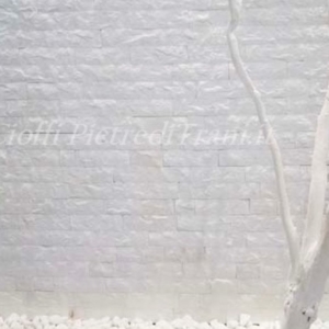Anteprima Scoppato Bianco Assoluto 4